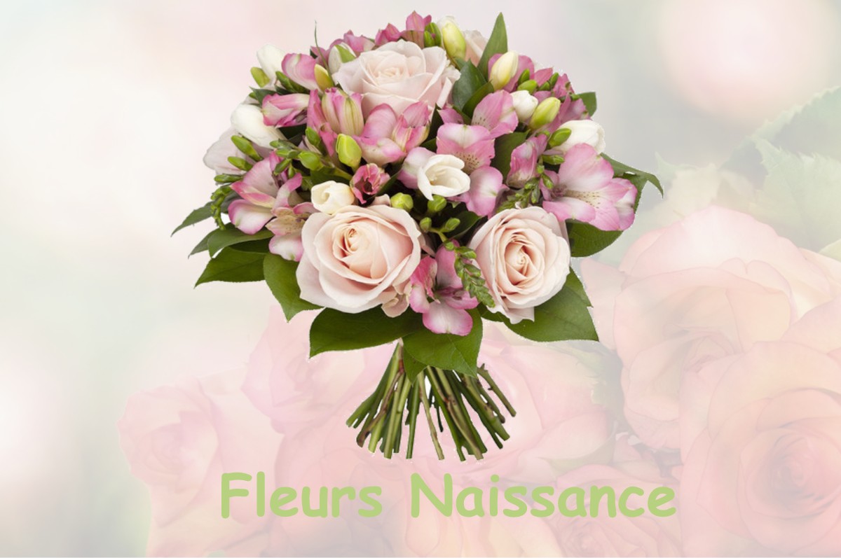 fleurs naissance OUZOUER-SUR-LOIRE